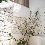 Kostas Ii * Vaszilikí