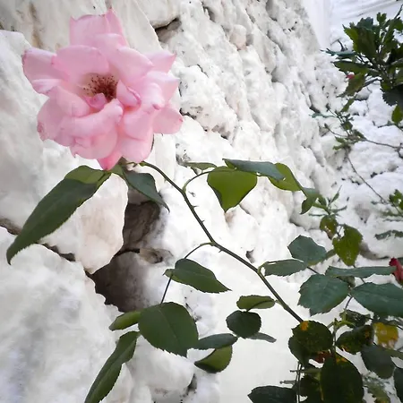 דירה Kostas Ii ואסיליקי