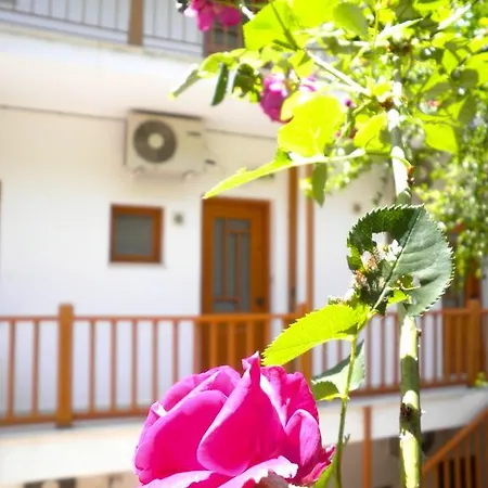 Kostas Ii